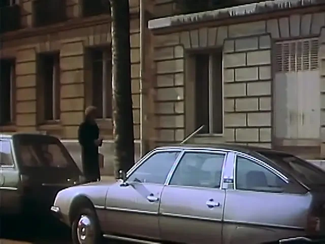 Fransız dul kadın kıllı amını yalatıyor ve sikiyor