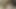 Büyük zenci yarağı bağımlılığı -% 100 amatör ve ev yapımı porno videoları. Orta yaşlı seksi kadınlar büyük zenci yarağı bağımlısı ve ırklararası sikişiyor.
