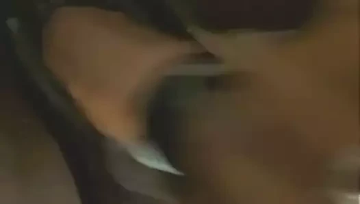 Arzu edilen tutkular kremsi kedi