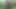 Jerk in forest