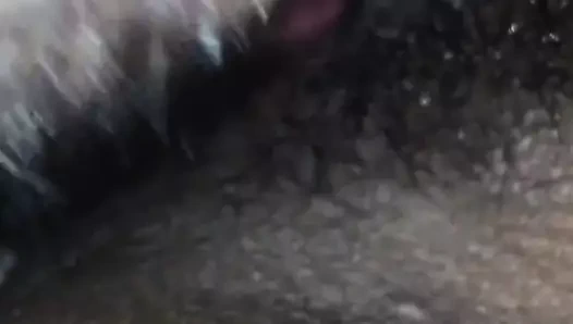 kuzenlerimin amını yalamak