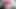 Çilek pembe dudaklar 31 talimatı