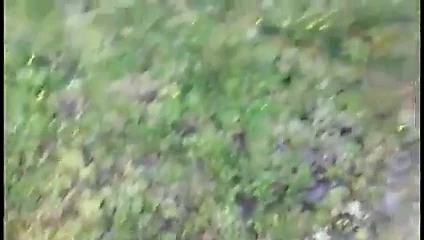 sarışın aşk dışında horoz emme