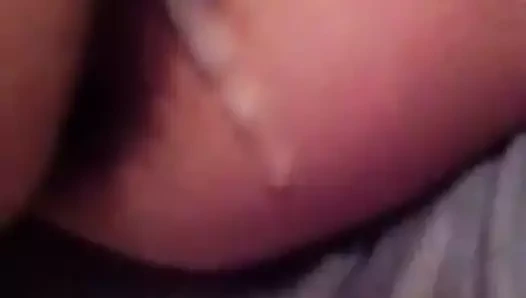 Chatte gros plan kremalı pasta