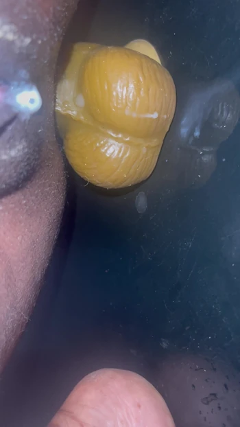 Я не могу остановить сперму в любое время, когда я трахаю свою задницу своим большим дилдо