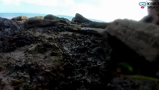 Deniz kızı görüldü! Lost Cove'da ıslak Karşılaşma