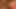 Spritz Pflaumen