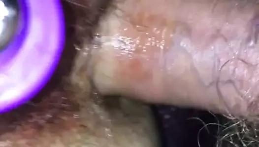 oynuyor dönem kedi &amp; lanet eşek