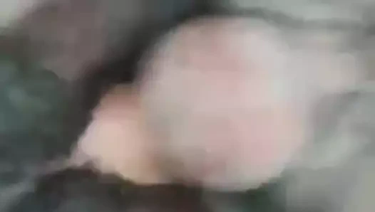 Kahrolası şişman siyah kedi