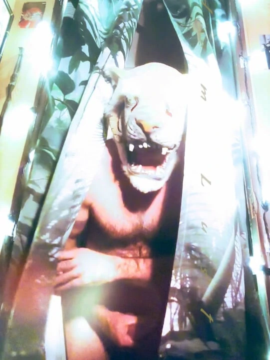 Eğlenceli ev özelliği: Adam Lust iç kaplanını ortaya çıkarıyor