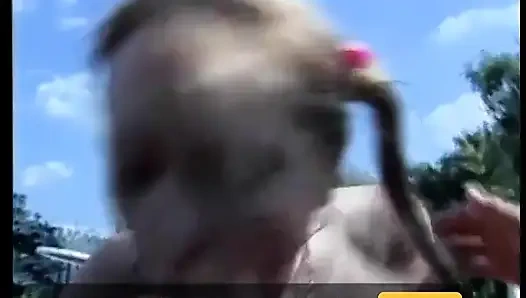 Seksi sürtük havuz başında sakso çekiyor ve çim sandalyesine boşalıyor