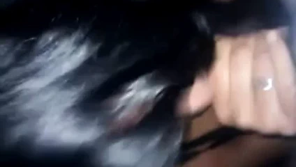 Trandza i pusenje Serbian