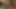 Büyük Memeli Hatunlarla Esaret Ve Ateşli Dildo Eyleminde Vahşi Maskeli Lezbiyenler