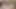 Mormon genç kız spex içinde sikişiyor
