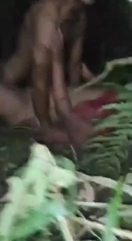 çalı seks