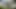 Üvey annemiz bize fışkırtma yarışmasını bir milyon dolara nasıl kazanacağımıza öğretiyor.