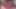 Delicious pink pussy in close-up