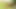 Twistys - leila'nın oynadığı leila, green co'da kırmızı sıcak