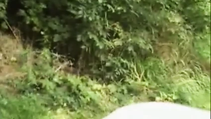 anal ve kıllı - bölüm