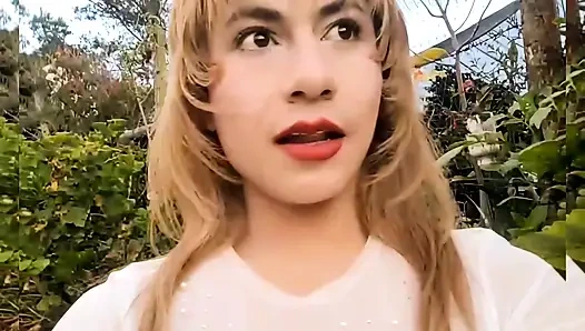 11 Kasım'da canlı gösteri