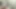 Ressam evi boyamaya ve vajinamı spermle doldurmaya geliyor, bu yüzden beni yalnız bırakıyorlar