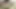 Sapık Üvey Kız Kardeş, Orgazma Ulaşmak İçin Üvey Erkek Kardeşini Kullanıyor! POV Cowgirl