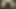 Zenci kraliçenin ormanı sonbaharın en ateşli hatunu yalıyor! Xxx, seks, ilk kez, edepsiz, seksi, çıplak