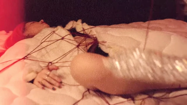 Bella thorne - ''rahatsız etmeyin''