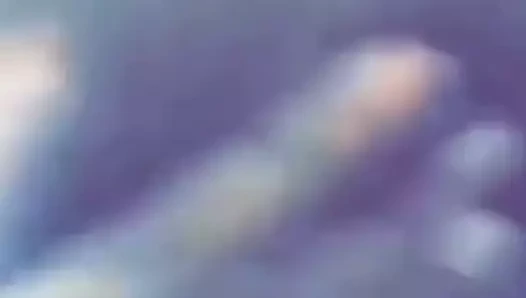 İngiliz pakistan siyah kedi fışkırtma