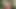Busty trans latina çerçeveli önce eyersiz seks