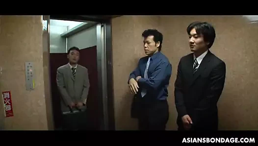 Bağlı havai ai çoklu vibratör ile uyarılıyor