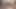 gggg