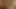 minyon amatör girly almak berbat uzun içinde KEDİ uzun sonra