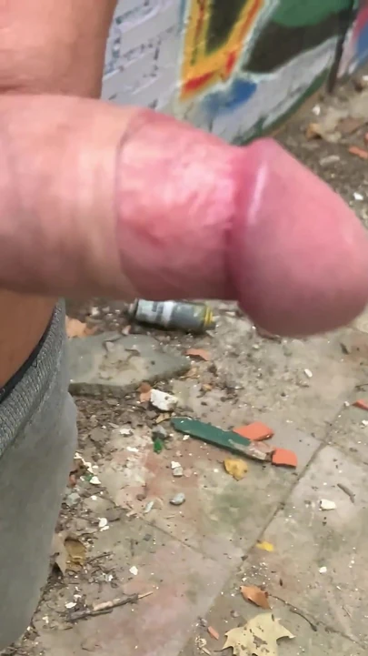 Толстый член на улице 4