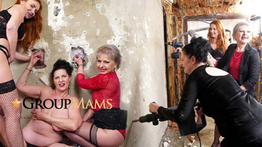 Olgun kedi zafer delik yıkım