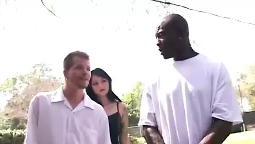 Büyük siyah horoz için beyaz karıcık