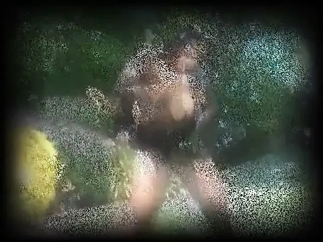 Seksi iç çamaşırlı büyük memeli zenci kadın sikişmeden önce amını yalatıyor