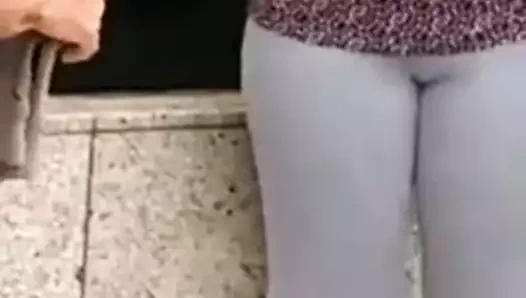 Fogosa de irece Bahia