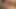 Seksi Asyalı memelerini siktiriyor ve sıkı deliğini de sikiyor