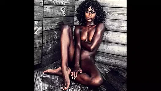 Kaybolan esmer şeker 1561