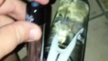 vibratör ve bootle ile mastürbasyon