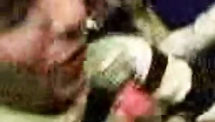 cigani se izivljavaju flasom u kafani na srpskoj kurvi