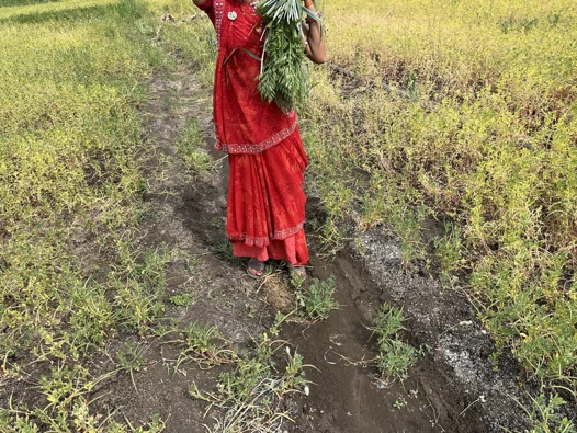 Desi aunty ki pussy , full sexy