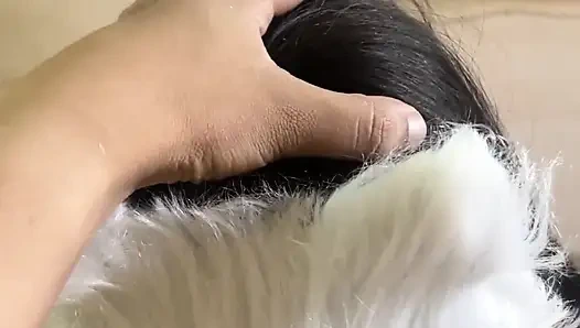 Bugün süt isteyen yaramaz bir kedi yavrusuyum