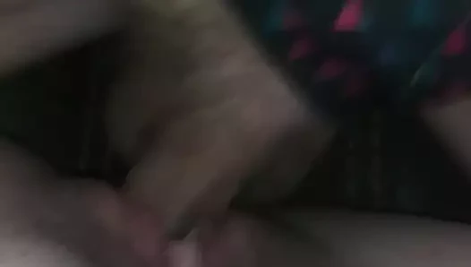 Kremsi sıkı amatör kedi yakın çekim (çok gürültülüydüm!!)