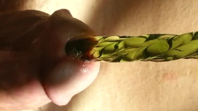 Yeşil spiral cam sesi