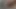 Dik milf Mastürbasyon ona sıkı kedi kadar orgazm