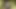 Hucow orta yaşlı seksi kadın memelerini sağıyor kamera 4