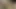 neighbor step mom with a vibrator