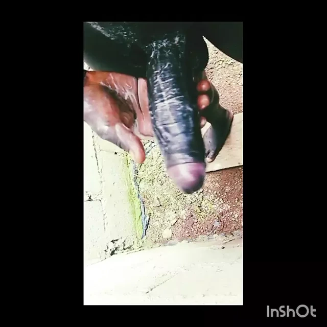 Genç Afrikalı aygır büyük zenci